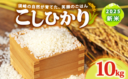 【 コシヒカリ 】 コシヒカリ10kg