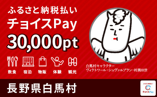 宿泊・食事・レジャーに使える！白馬村 電子感謝券 30,000ポイント【会員限定のお礼の品】