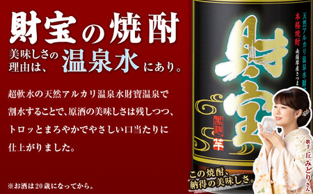 A1-22557／【麦焼酎】一升瓶 2種2本 温泉水 財宝 鹿児島 焼酎 お酒