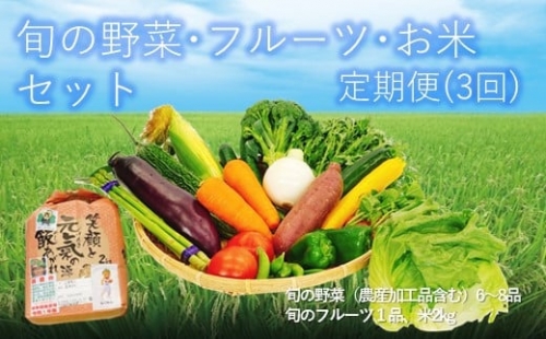 【定期便3回】旬の野菜(6～8品)・フルーツ・お米セット 