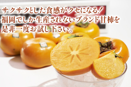 福岡県産ブランド柿「秋王」約1.5kg(4-6玉)