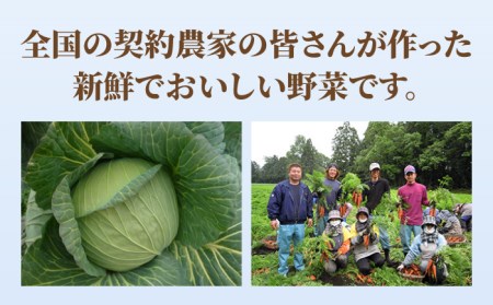 【全6回定期便】＜リンガーハット＞チャーハン + ぎょうざ（12個入）各4食セット 合計8食[FBI023]