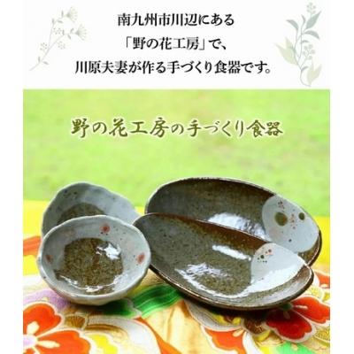 ふるさと納税 南九州市 野の花工房　楕円深皿・小鉢セット |  | 01