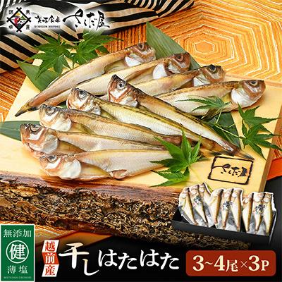 ふるさと納税 越前町 干しはたはた (3〜4 尾×3 パック入り)