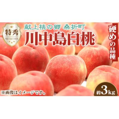 ふるさと納税 桑折町 川中島白桃　特秀　約3kg【返礼品発送期間:令和7年8月頃】