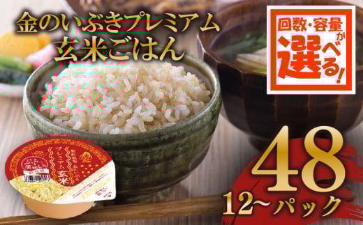 定期便 3回 玄米ごはんパック 120g 24個 玄米 米 お米 ごはん ご飯 こめ パックライス パックご飯 パックごはん ご飯パック ごはんパック パック ライス 備蓄 保存 非常 防災 電子 レンジ 温めるだけ レンチン 簡単 健康 ダイエット 美容 ヘルシー 24 24食 レトルト インスタント おいしい 人気 おすすめ 金のいぶき 大阪 松原