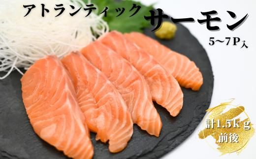 B-81017 生食可アトランティックサーモン5～7P(計1.5kg前後)