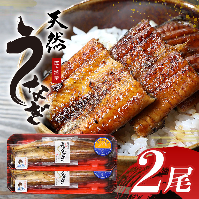霞ヶ浦産天然うなぎ 蒲焼き 2尾（100～130g×2） 49-B