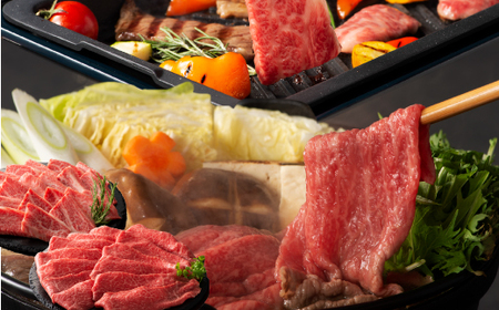 「熊本特産馬刺しと熊本黒毛和牛」フジチクオリジナル贅沢食べ比べセット