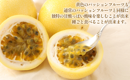 徳之島 天城町 吉川果樹園 家庭用 イエローパッションフルーツ 約1kg パッションフルーツ 混合サイズ AB-36-N
