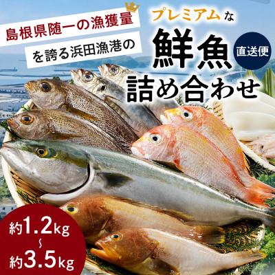 ふるさと納税 浜田市 【2025年3月上旬発送】浜田のプレミアム鮮魚〜この男シリーズ〜 |  | 01