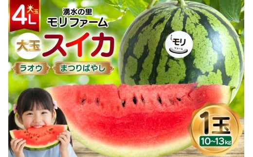 AJ456 【令和8年度出荷分】 湧水の里 モリファーム 大玉スイカ ラオウ まつりばやし 4L 10～13kg 1玉 [ 先行予約 数量限定 すいか スイカ 西瓜 フルーツ 果物 長崎 長崎県 島原市 ]