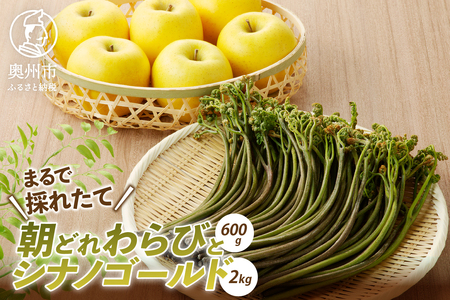 りんごと朝どれ生蕨 【離島配送不可】 [BK010]