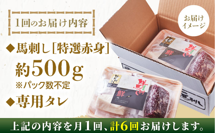 【全6回定期便】国内肥育 馬刺し 特選赤身 約500g 専用タレ付き 熊本 山都町 冷凍 馬肉 馬刺 ヘルシー 小分け【有限会社 丸重ミート】[YAK028]