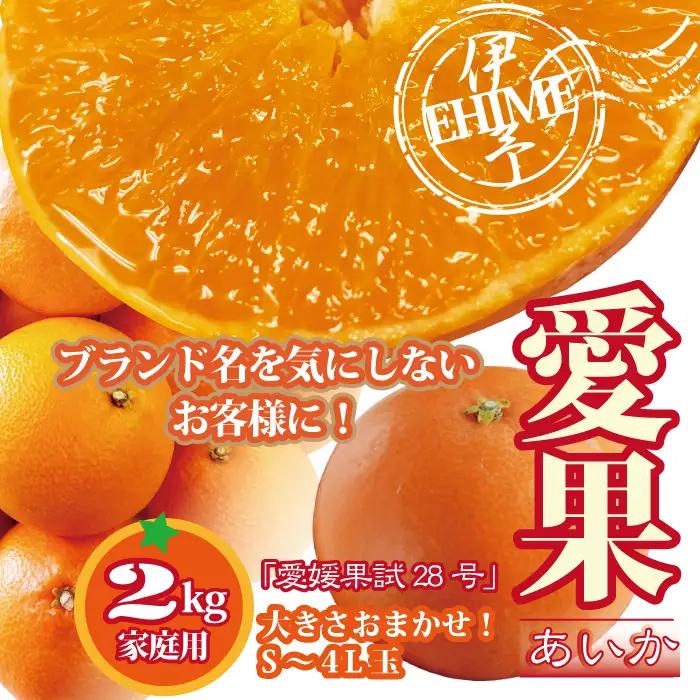 【2026年12月上旬より順次発送】訳あり 愛果28号 約2kg｜B172