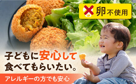 【全6回定期便】三富屋さんの本気のカレーコロッケ20個 0.8kg【三富屋商事株式会社】[AKFJ075]