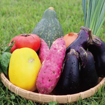 ふるさと納税 明和町 旬の野菜 詰め合わせ 6〜7品以上 連続3か月【定期便】おまかせ セット 産地直送 新鮮 ja1 |  | 01