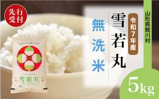 ＜令和7年産米先行受付＞ 鮭川村 雪若丸 【無洗米】5kg （5kg×1袋）＜配送時期選べます＞