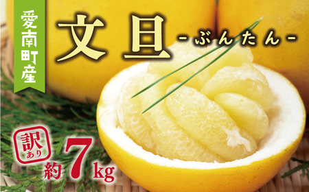 訳あり 文旦 7kg 8000円 ぶんたん みかん mikan 蜜柑 ミカン わけあり 家庭用 産地直送 国産 農家直送 糖度 期間限定 数量限定 特産品 ゼリー ジュース アイス 人気 限定 甘い 果実 果肉 フルーツ 果物 柑橘 ビタミン 健康 美味しい おいしい ジューシー 小玉 含む サイズ ミックス 規格外 傷み補償 500g ミッチーのおみかん畑 愛南町 愛媛県【micchi41】