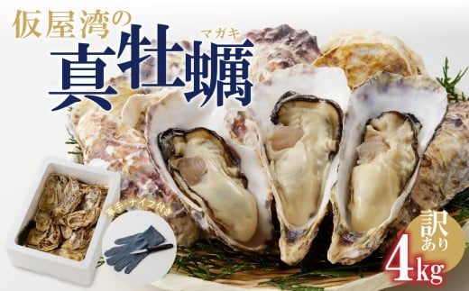 【3月配送】［訳あり］仮屋湾の真牡蠣（4kg）【殻付き】
