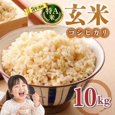 ふるさと納税 東御市 玄米10kg(5kg×2袋)冷めても美味しいコシヒカリ【小田農園】　　|最短4〜7日程度でお届け