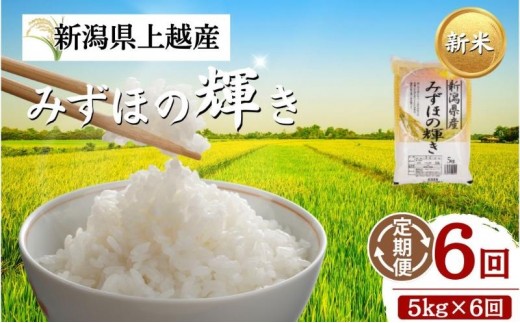 【プロも高評価！】令和8年産 新潟県上越市産 みずほの輝き 定期便 5kg×6回 30kg 新米 先行予約 大潟ナショナルカントリー