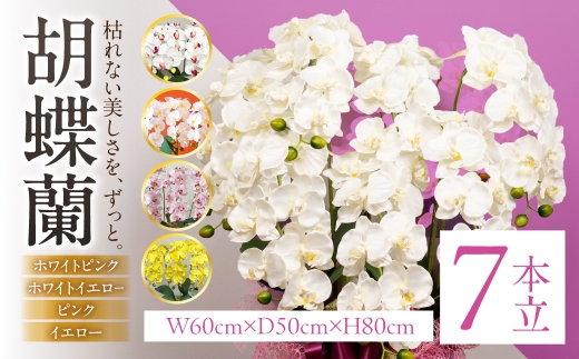 光触媒 造花 胡蝶蘭 7本立 ピンク 蘭 光触媒加工 消臭 抗菌 防汚 空気清浄 インテリア フラワー ギフト 贈り物 祝い お祝い 母の日 観葉植物 アレンジ エフエヌティ 岐阜県 大垣市
