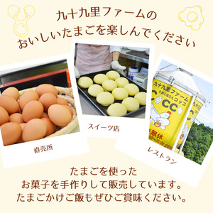 九十九里ファームこだわりたまご贈答用30個～あおい海・みどりの里～