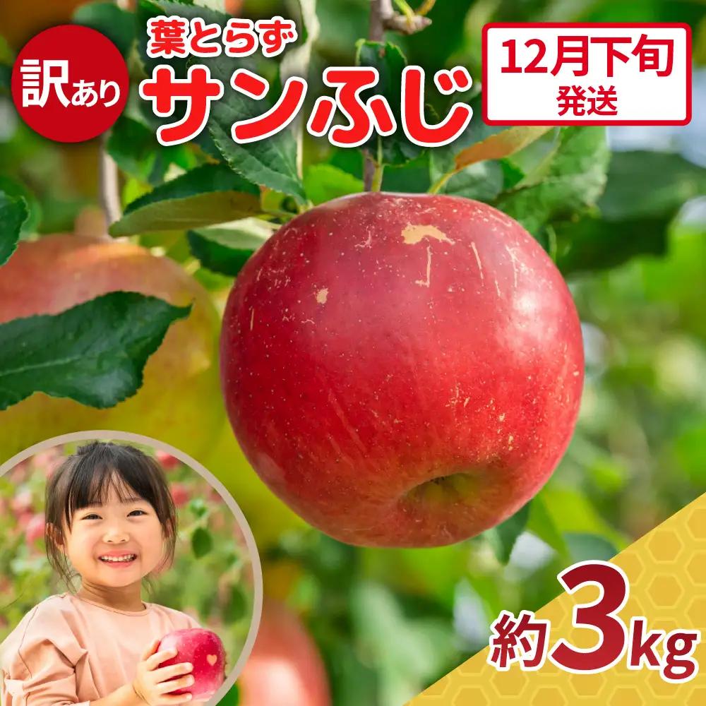 【2026年12月下旬発送】【訳あり】 りんご 約3kg サンふじ 青森県産 葉とらずりんご