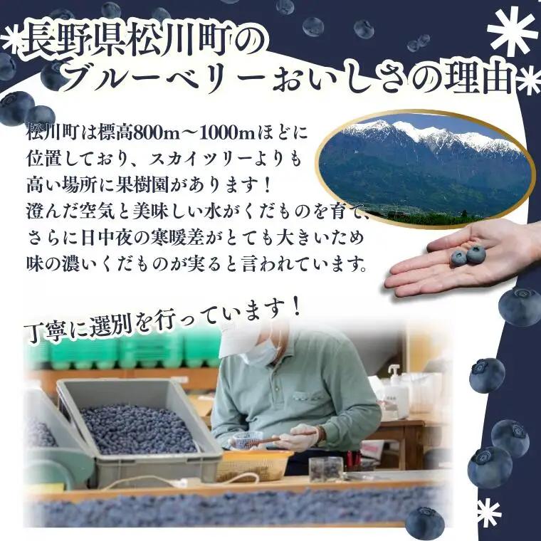 KB02 ブルーベリー 約600g ／ 2026年6月下旬頃から発送予定//南信州 国産 長野県産 フレッシュブルーベリー 大粒 甘い 人気 新鮮 厳選 贈答