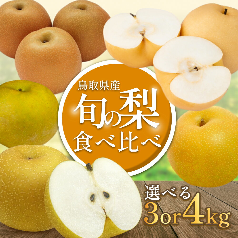 【ふるさと納税】【先行予約】品種はおまかせ 食べ比べ 旬の梨ミックス 3～4kg｜鳥取 果物 くだもの フルーツ なし 梨 和梨 新甘泉 二十世紀梨 秋甘泉 旬 選べる内容量 3kg 4kg 数量限定
