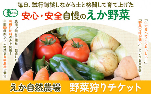 野菜狩りチケット 10月-12月 株式会社えか自然農場《30日以内に出荷予定(土日祝除く)》収穫 体験 野菜 やさい チケット 流山市 st-p