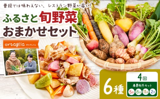 季節の旬野菜 おまかせセット 6種 4回 季節定期便 （農薬・化学肥料不使用）オルタッリャ 《5月・8月・11月・2月に発送予定》【配送不可地域あり】