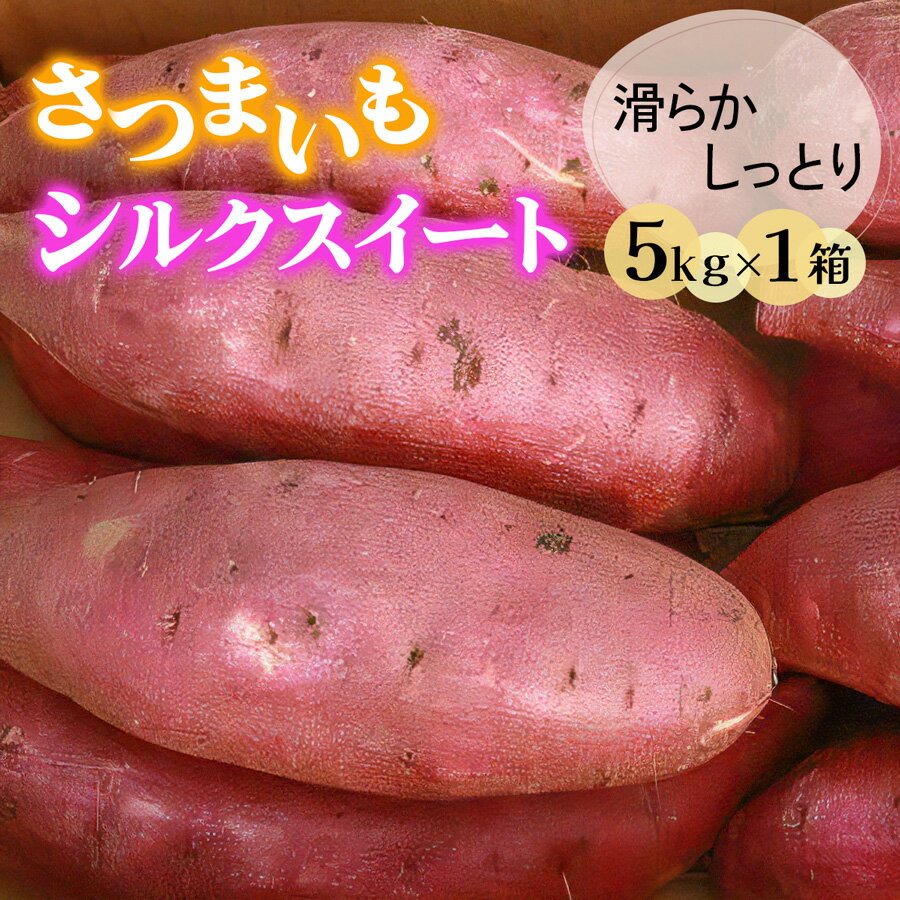 【ふるさと納税】奥野農園 さつまいも (シルクスイート) 5kg｜農家 直送 サツマイモ スイーツ 野菜 しっとり ホクホク 焼き芋 やきいも 料理 袖ケ浦 千葉 [0422]
