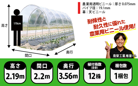 雨よけハウス【2畝用】〈AM-2235〉_AF-J404_(都城市) 雨よけハウス 敏感 夏物野菜を守る 収穫を確保 夏野菜 組立簡単 完全組立式 障害や病気対策 12株 2畝用