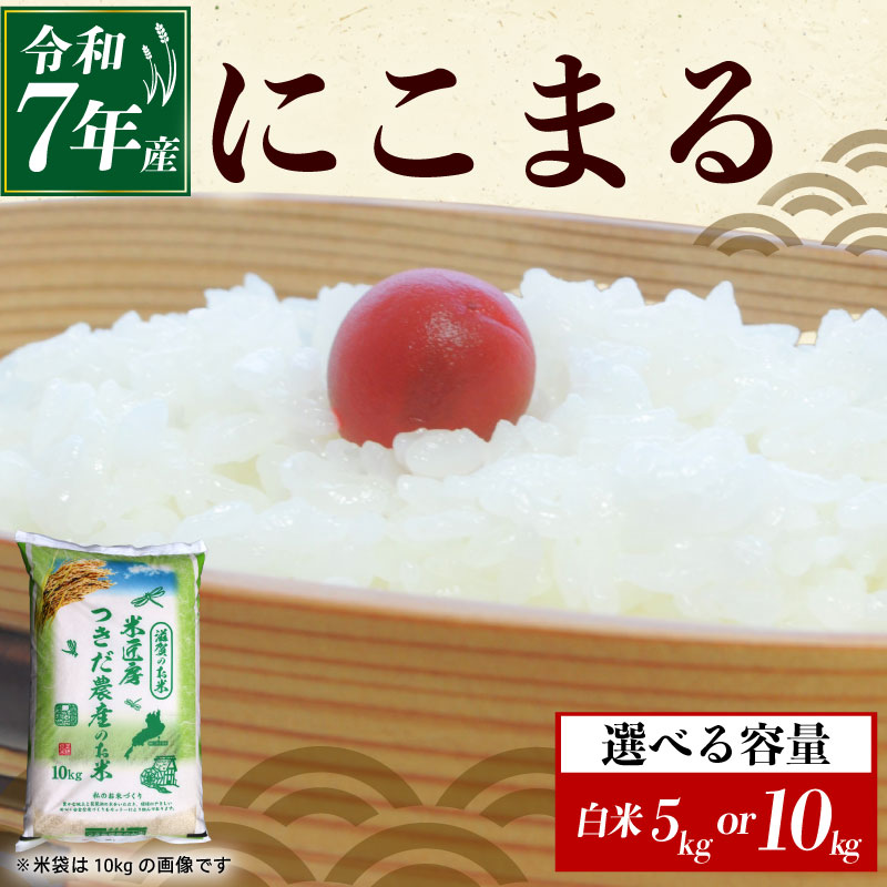 【ふるさと納税】 令和7年産 にこまる 白米 選べる 容量 5kg×1袋 10kg×1袋 米 コメ お米 新米 5キロ 10キロ 米5kg 米10kg ご飯 ごはん ニコマル おにぎり お弁当 5kg 10kg 5 10 滋賀 彦根