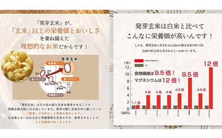 【常温】3日寝かせ発芽酵素 玄米ごはん 7食 セット （125g×7食） 玄米 ごはん