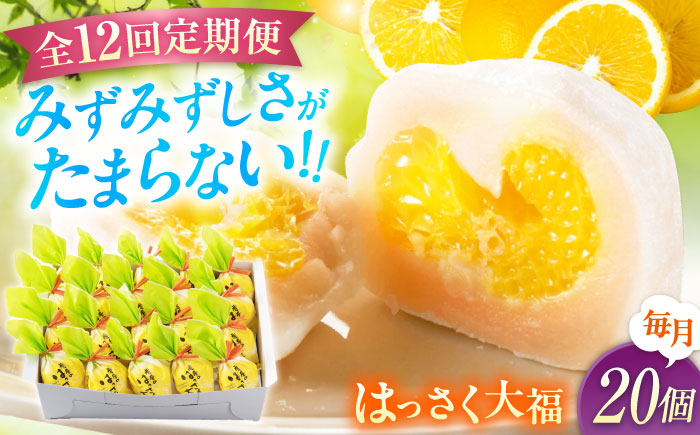 【全12回定期便】お菓子 はっさく大福20個入　 お菓子 大福 八朔 柑橘 みかん オレンジ 餅 ギフト お取り寄せ スイーツ フルーツ大福 ご当地 菓子 おかし デザート 食品 人気 おすすめ 広島県福山市/株式会社虎屋本舗 [BADH032]