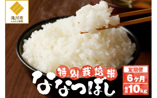 《令和7年産》特別栽培米ななつぼし 10kg×6ヵ月定期便 | 16年連続特A ブランド米 白米 精米 米 お米 こめ 減農薬 単一原料米 ご飯 北海道米 北海道 滝川市