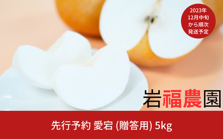 先行予約 新潟県産 和梨 愛宕 5kg  [岩福農園]  梨【010P068】