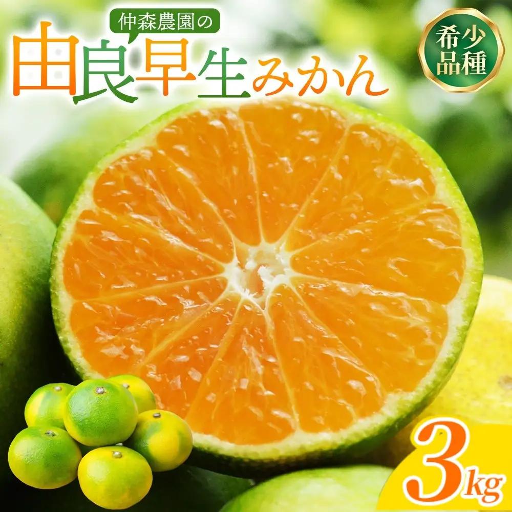みかん 由良早生みかん 約3kg【nkmr0019-fw】