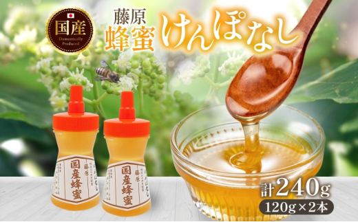 はちみつ けんぽなし 藤原国産蜂蜜 計240g 国産はちみつ 純粋はちみつ 天然 無添加 ケンポナシ 玄圃梨 単花蜜 朝しぼり 完熟 ハチミツ 蜂蜜 パン 菓子 トースト ホットケーキ ヨーグルト 調味料 隠し味 甘味料 料理 朝食 岩手県 盛岡市 東北 岩手 盛岡 藤原養蜂場