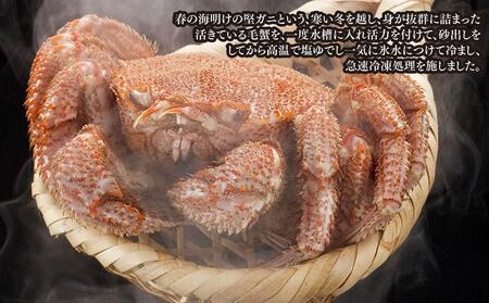 北海道 オホーツク産 毛ガニ 1尾 1kg前後 カニ 蟹 毛ガニ 毛蟹 毛がに 毛カニ 冷凍 お取り寄せ 旭川市 北海道ふるさと納税 送料無料 北海道