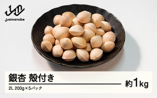 ≪先行予約≫2025年 山形県産 銀杏 殻付き 2L 約1kg（200g×5パック） 2025年10月中旬から順次発送 ぎんなん おつまみ 真空パック 個包装 小分け 秋 野菜 F20A-731