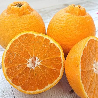 ふるさと納税 観音寺市 【発送月固定定期便】フジカワ産地直送便・季節の彩どり柑橘セット全6回 |  | 01