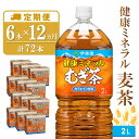 【ふるさと納税】【12か月定期便】健康ミネラル麦茶 2L×6本(合計12ケース)【伊藤園 麦茶 むぎ茶 ミネラル ノンカフェイン カフェインゼロ】G8-R071382