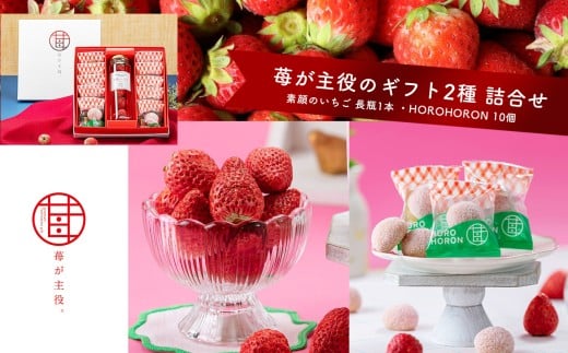 苺が主役のギフト2種 詰合せ | お菓子 お土産 ギフト プレゼント ストロベリー お歳暮 贈答 栃木県 真岡市 送料無料