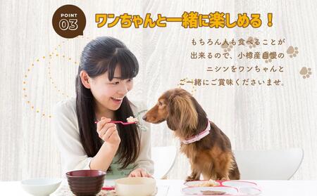 【犬のおやつ】厳選 小樽産 ニシン 割れせんべい 150g (50g×3袋) ドッグフード ペットフード ドッグ 犬用 おやつ