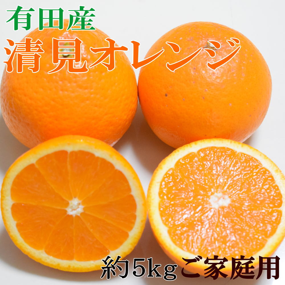 【ふるさと納税】【濃厚】有田産清見オレンジ約5kg（サイズおまかせ・ご家庭用）★2026年2月中旬～2026年3月中旬頃より順次発送【TM151w】 | フルーツ 果物 くだもの 食品 人気 おすすめ 送料無料