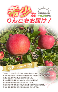 【令和6年度分予約受付】大文字りんご園 大夢（おおゆめ） 約3kg (7～10玉) 【2024年11月10日頃より順次発送】/りんご りんご りんご りんご りんご りんご りんご りんご りんご り